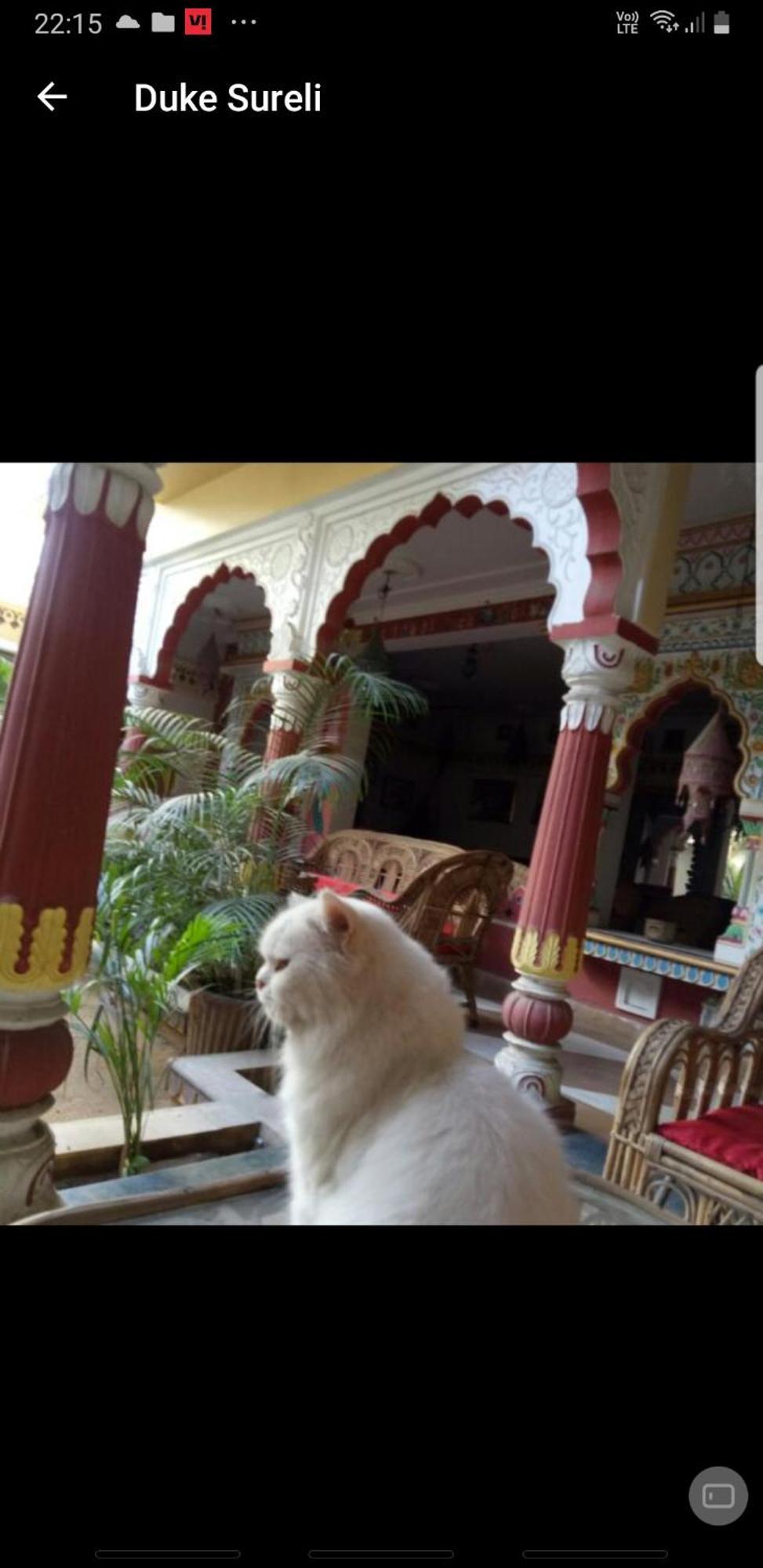 Sureli Haveli Apartment Jaipur Phòng bức ảnh