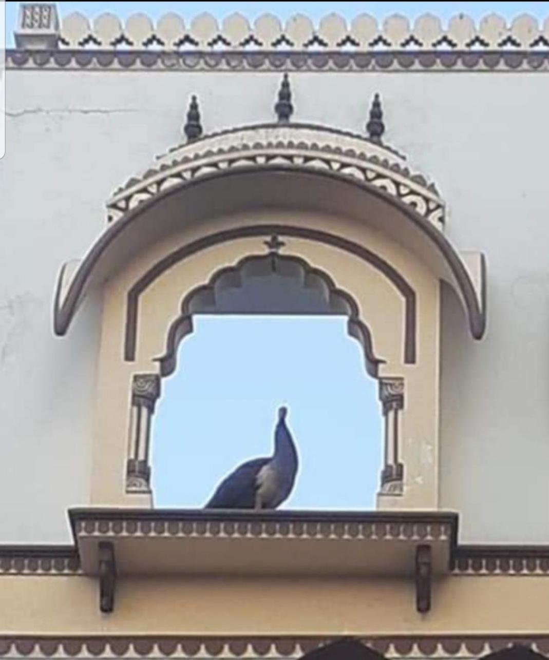Sureli Haveli Apartment Jaipur Ngoại thất bức ảnh